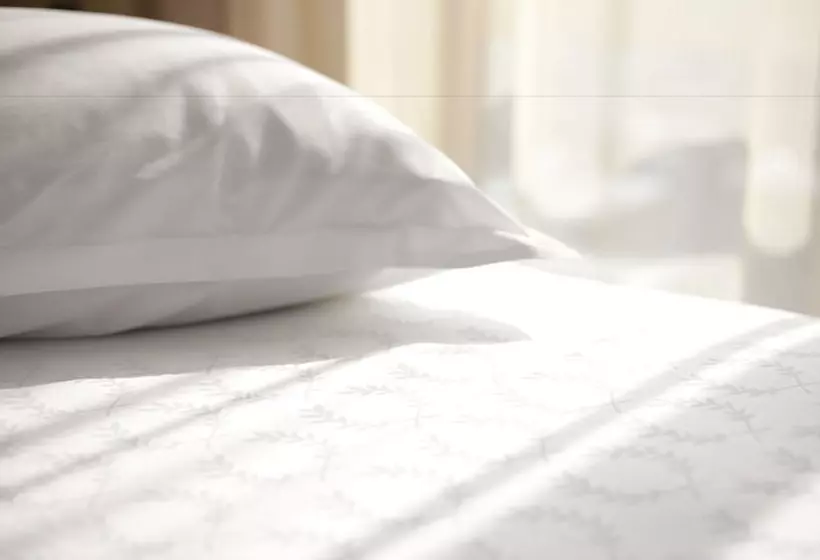 اتاق کلاسیک با تخت دونفره, Sheraton Mexico City Maria Isabel