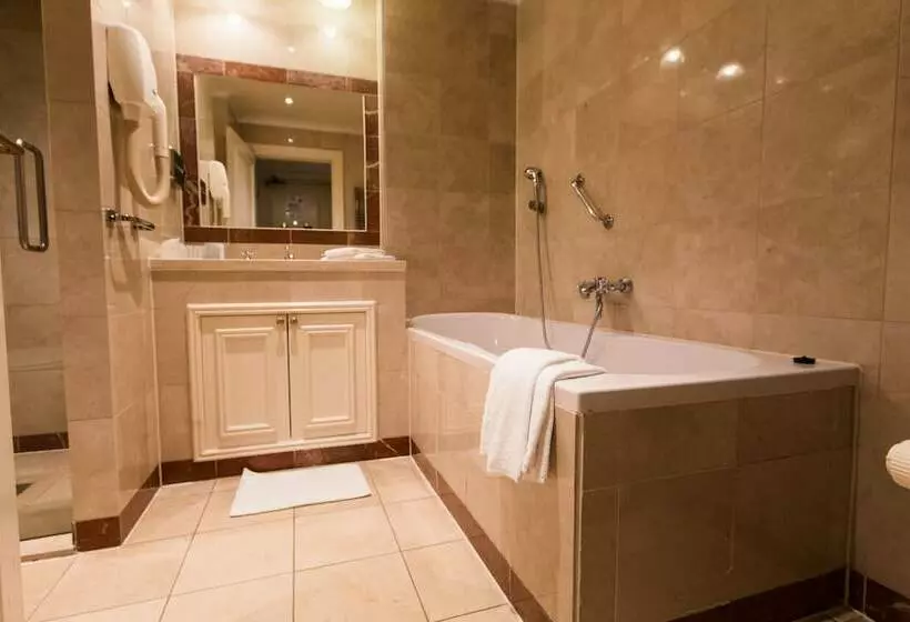 デラックスルーム, Boutique Hotel De Doelen