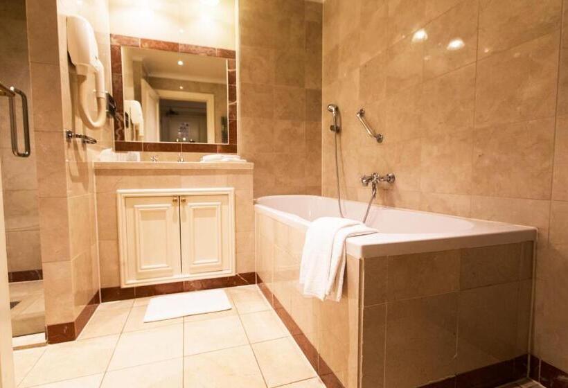 اتاق لوکس, Boutique Hotel De Doelen