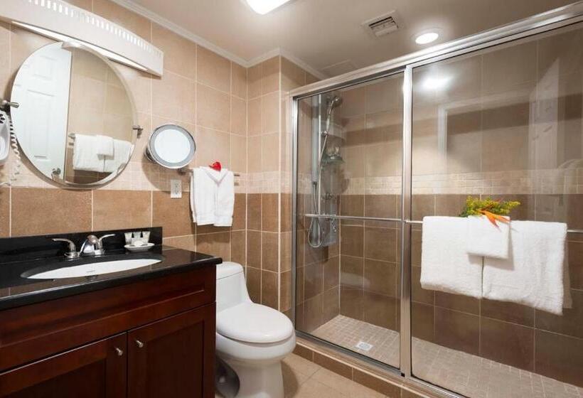 Camera Standard, Divi Little Bay Beach Resort