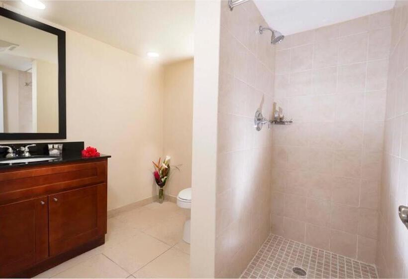 Monolocale Standard, Divi Little Bay Beach Resort