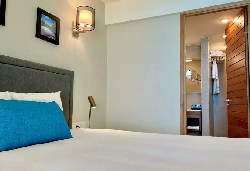 اتاق سوپریور, Curacao Avila Beach