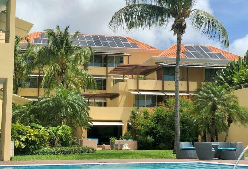 اتاق سوپریور, Curacao Avila Beach