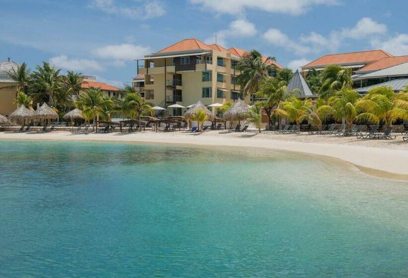 اتاق لوکس, Curacao Avila Beach