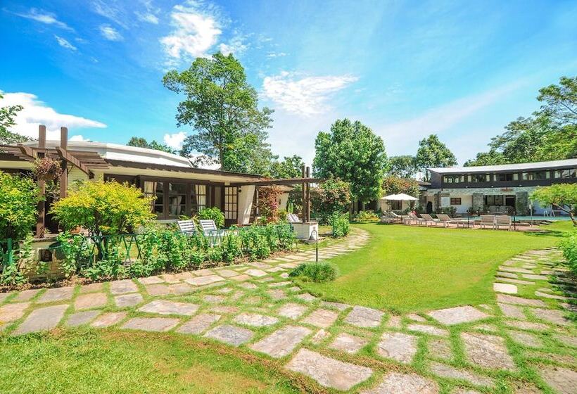 اتاق استاندارد, Fish Tail Lodge