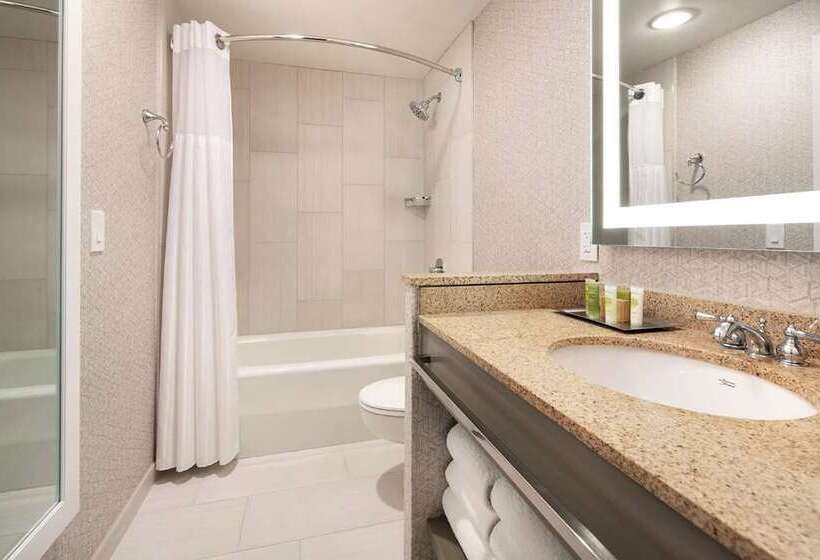 스탠다드 룸 킹사이즈 침대, Hilton Amsterdam Airport Schiphol