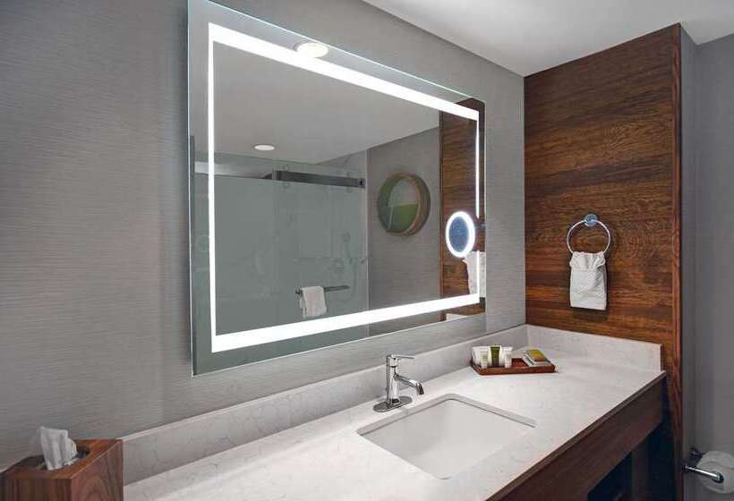 스탠다드 룸 킹사이즈 침대, Hilton Amsterdam Airport Schiphol