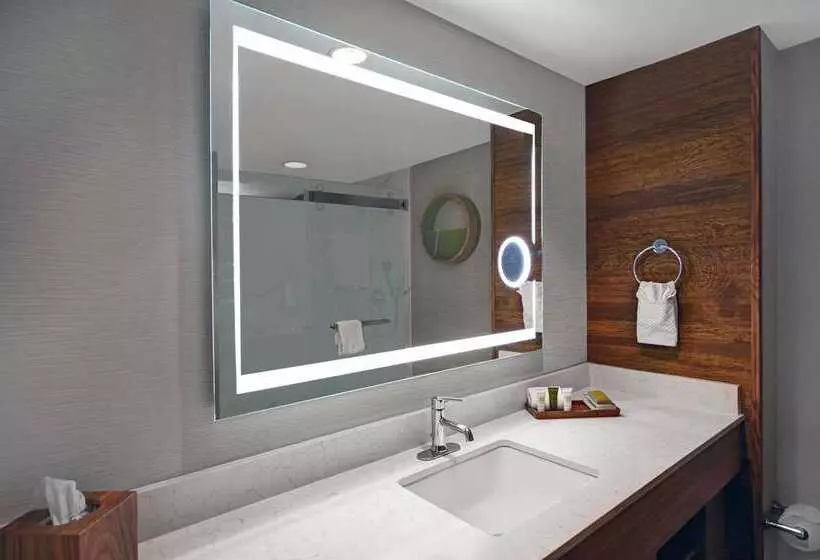 キングサイズベッドのデラックスルーム, Hilton Amsterdam Airport Schiphol
