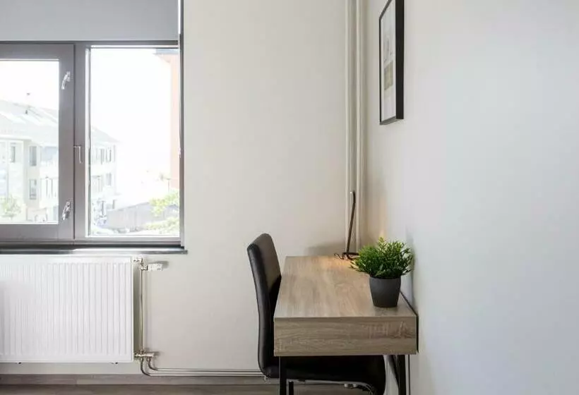 Economy Zimmer, L Molde