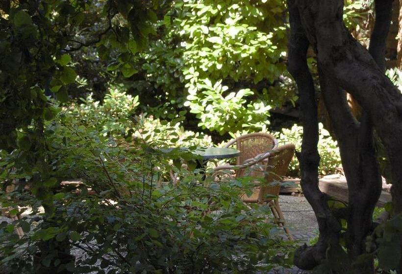 اتاق استاندارد چهار تخته, Prinsen