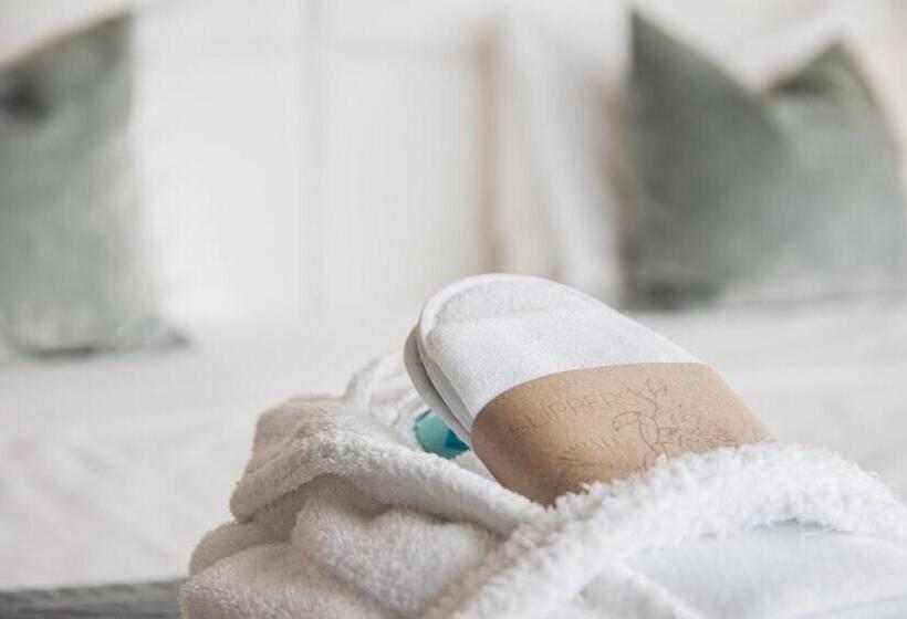 חדר סופריור, Van Der Valk Hotel Tiel