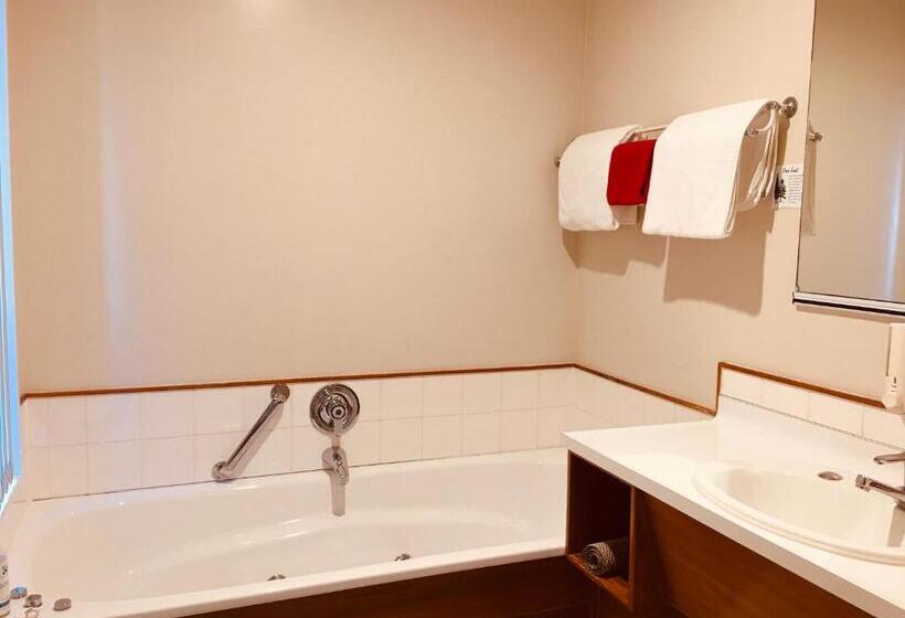 Студия Стандарт, Cascades Lakefront Motel