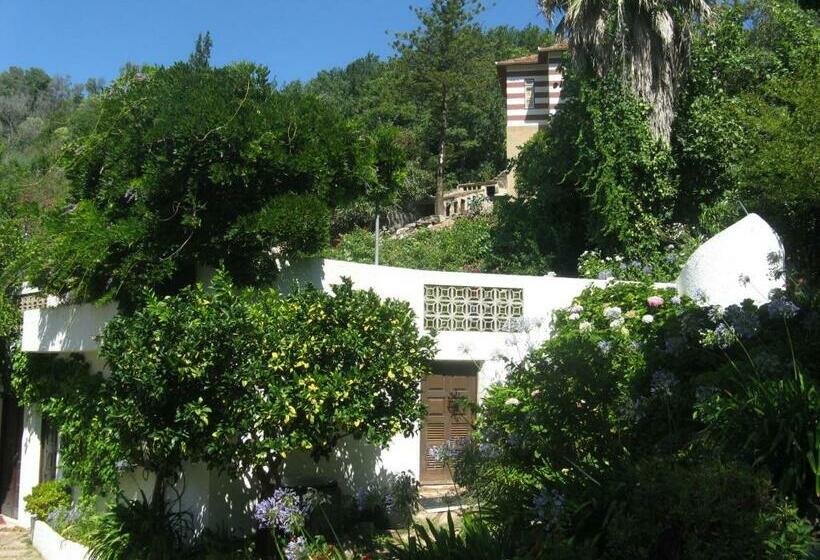 חדר סטנדרט, Albergaria Do Lageado