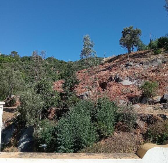 חדר סטנדרט עם טרסה, Albergaria Do Lageado