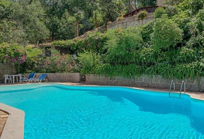 חדר אקונומי, Albergaria Do Lageado