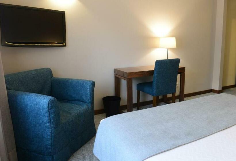 غرفة قياسية مطلة على المدينة, Navarras