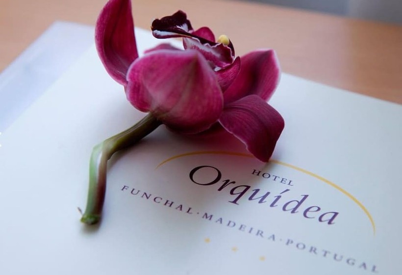 스탠다드 룸, Orquidea