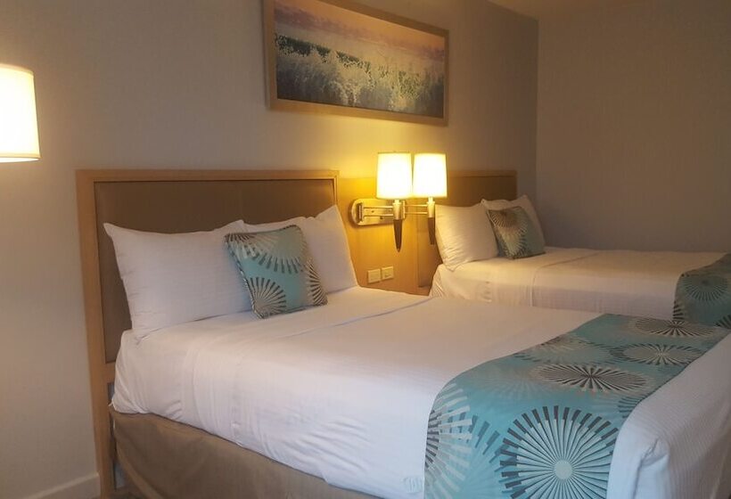 스탠다드 룸 더블 침대 2개, The Executive