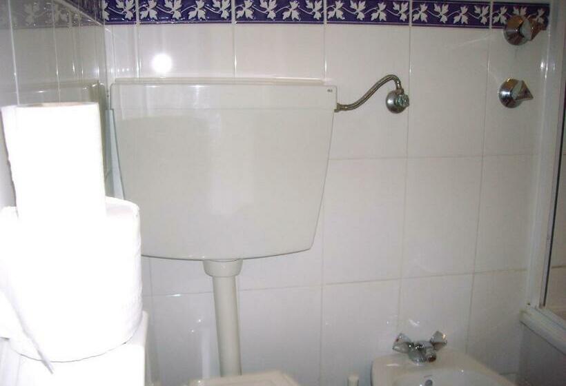 اتاق استاندارد با سرویس بهداشتی مشترک, Residencial Camoes