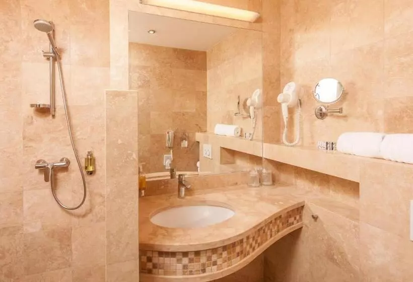 Business Room, Grand Hotel Coroana