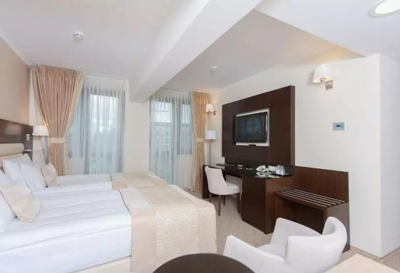 Business Room, Grand Hotel Coroana