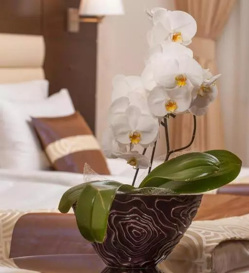 Business Room, Grand Hotel Coroana