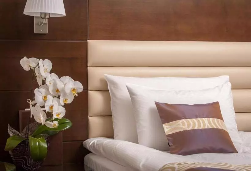 Business Room, Grand Hotel Coroana