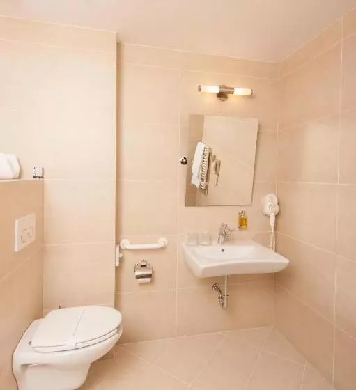 Business Room, Grand Hotel Coroana