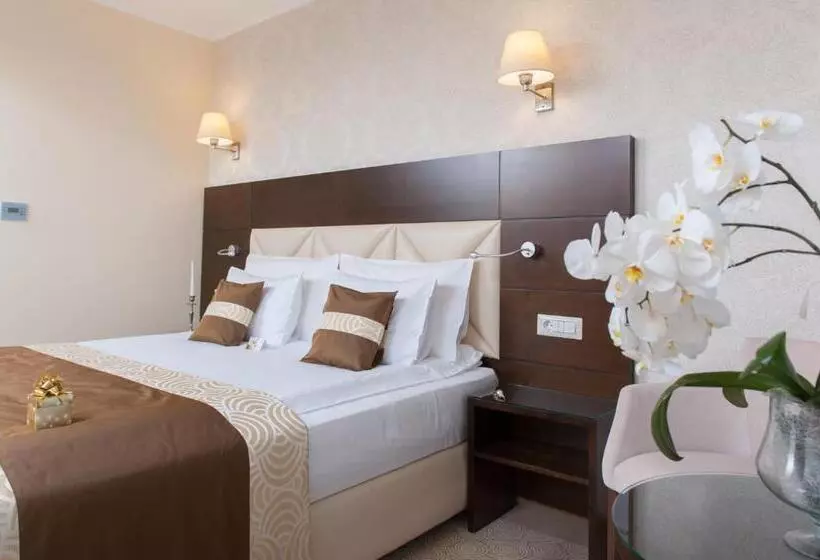 Business Room, Grand Hotel Coroana