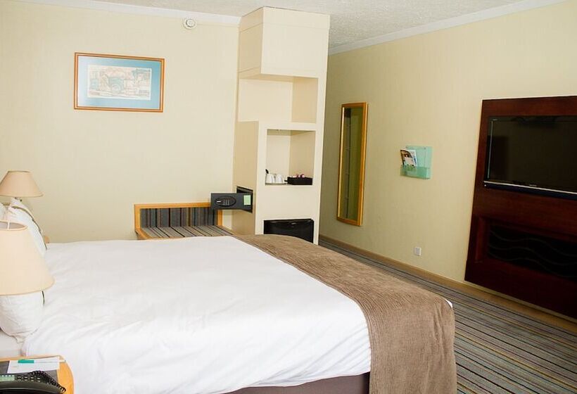 اتاق استاندارد با 2 تخت دوبل, Holiday Inn Bulawayo By Ihg