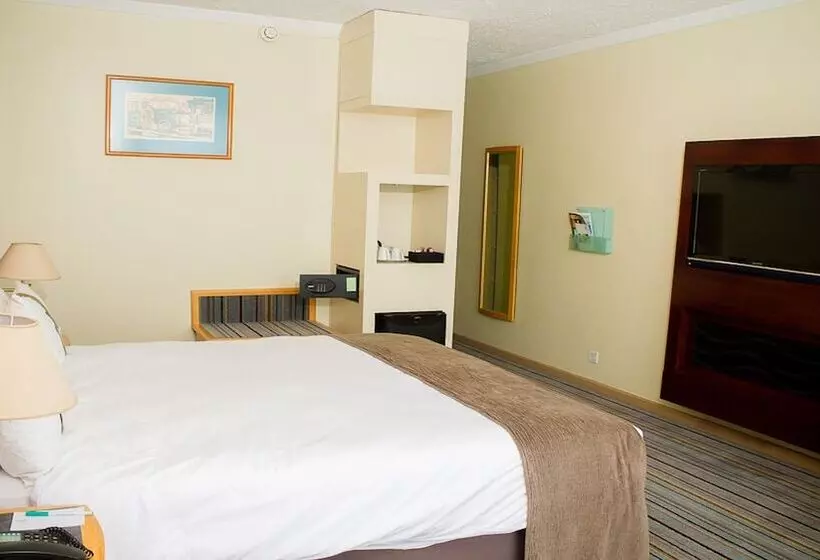 اتاق استاندارد با 2 تخت دوبل, Holiday Inn Bulawayo By Ihg