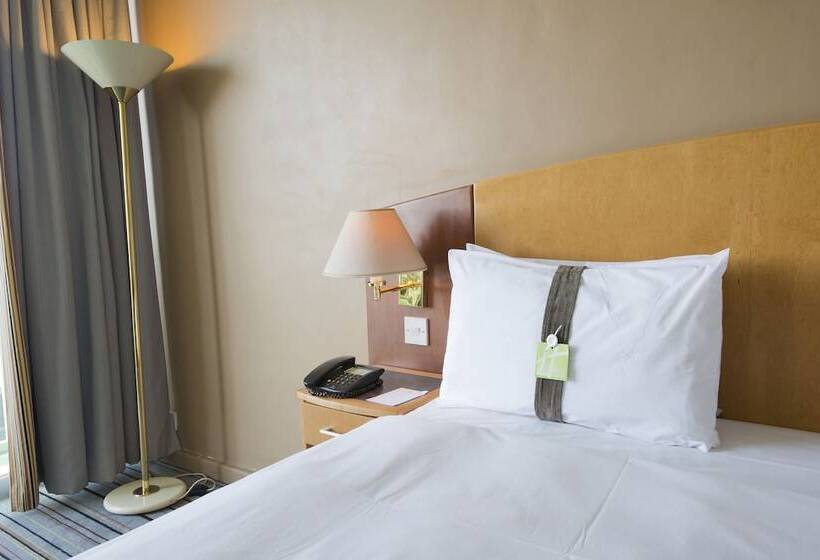 اتاق استاندارد, Holiday Inn Bulawayo By Ihg