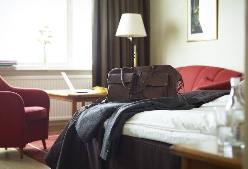 스탠다드 싱글 룸, Terraza