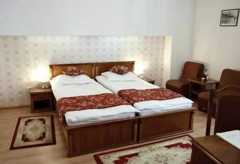 اتاق سوپریور, Transilvania