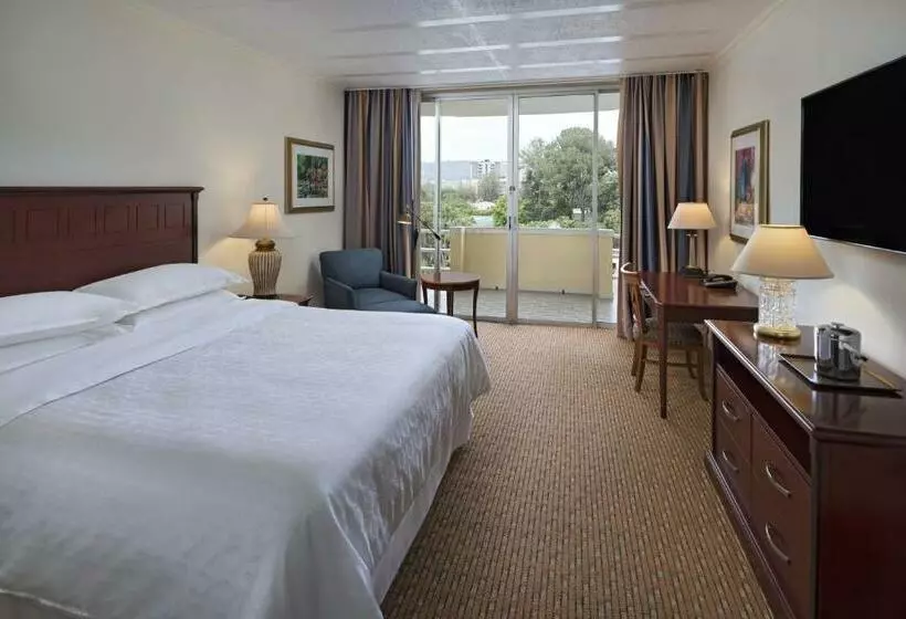 اتاق لوکس یک تخته, Sheraton Presidente San Salvador