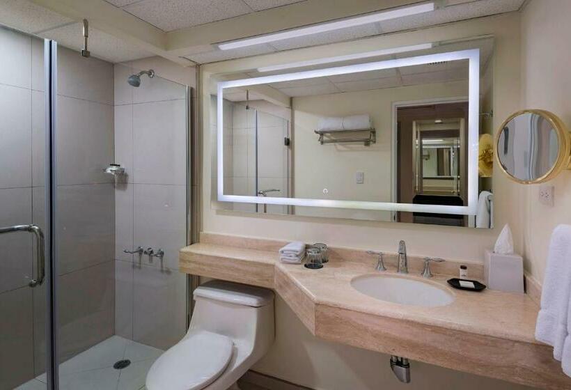 غرفة ديلوكس مزودة بشرفة, Sheraton Presidente San Salvador