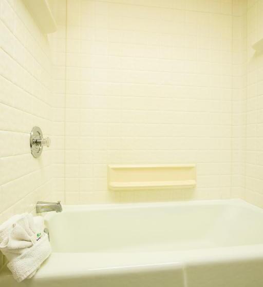 غرفة قياسية, Anaheim Carriage Inn