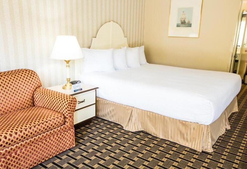 غرفة قياسية سرير كينج, Anaheim Carriage Inn