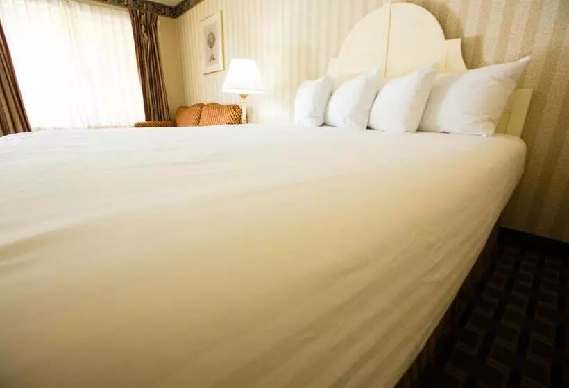 اتاق استاندارد با تخت بزرگ, Anaheim Carriage Inn