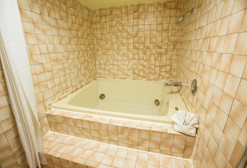 غرفة قياسية سرير كينج, Anaheim Carriage Inn