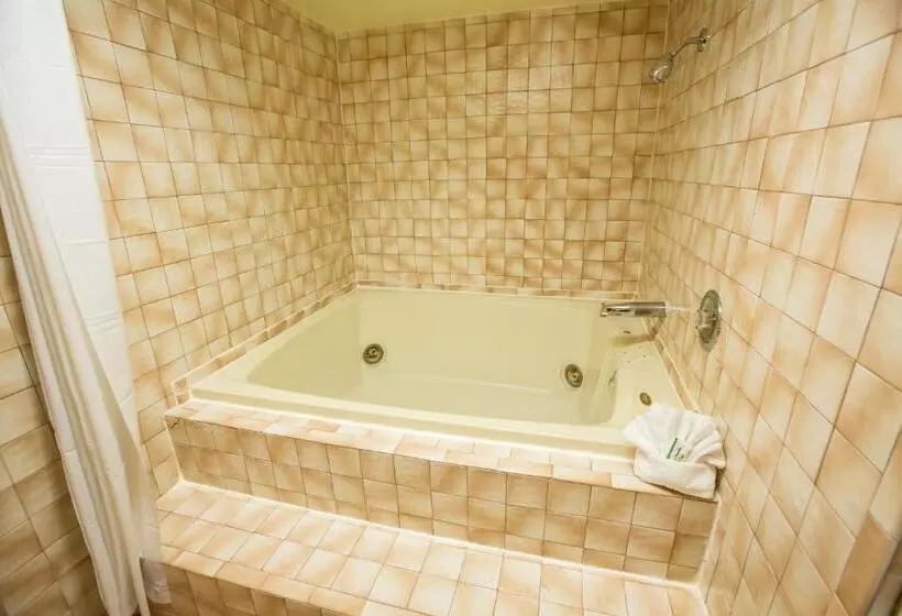 اتاق استاندارد با تخت بزرگ, Anaheim Carriage Inn