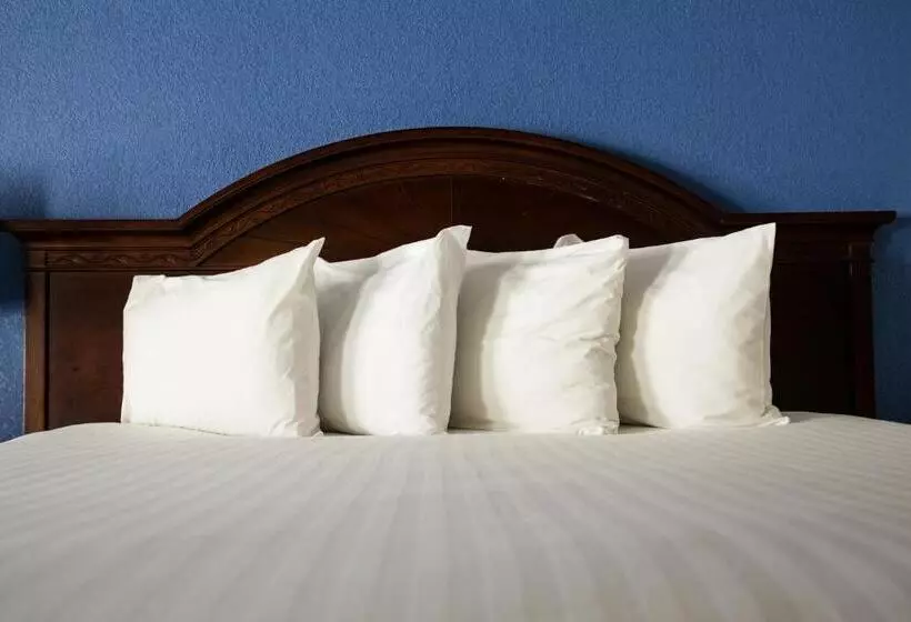 اتاق استاندارد با تخت بزرگ, Anaheim Carriage Inn