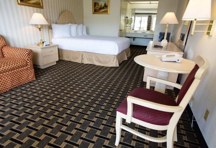 غرفة قياسية سرير كينج, Anaheim Carriage Inn