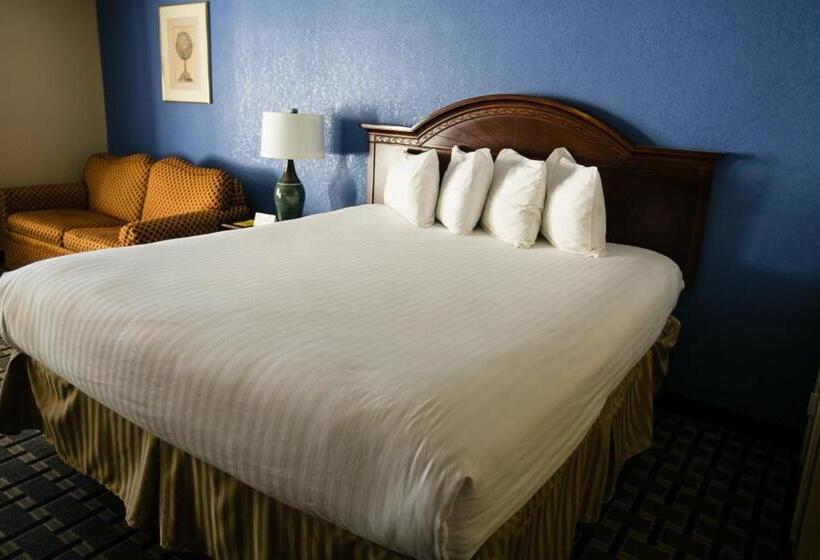 Standard-huone King-vuode, Anaheim Carriage Inn