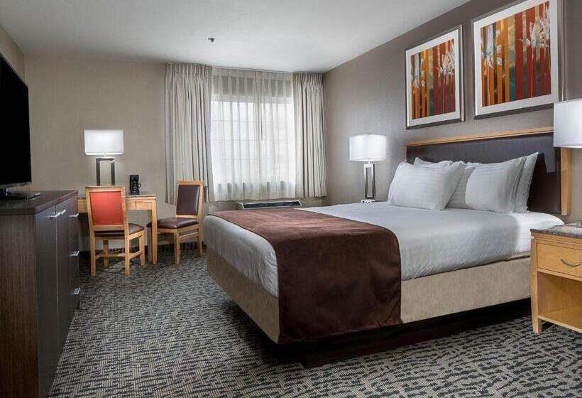 豪华房间, Arizona Charlie S Decatur