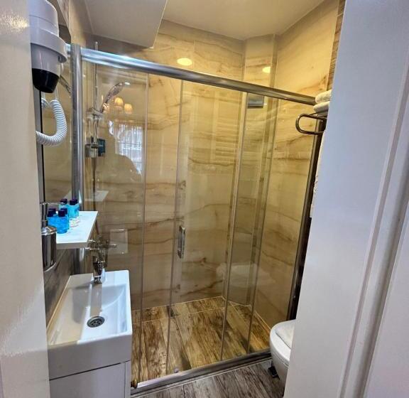 Habitación Estándar, Bakirkoy Tashan Business & Airport