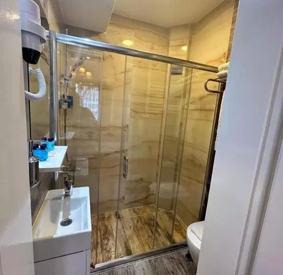 اتاق استاندارد, Bakirkoy Tashan Business & Airport