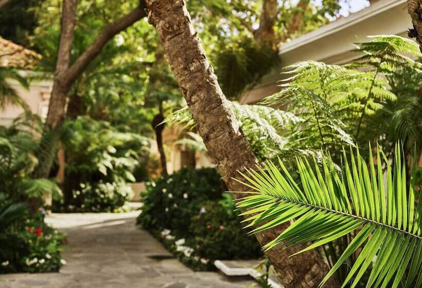 デラックスルーム, Belair  Dorchester Collection