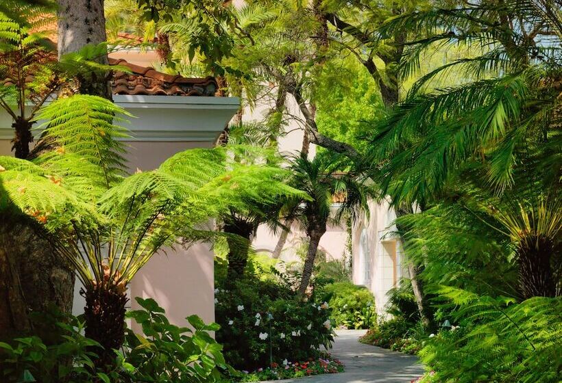 インサイドデラックスルーム, Belair  Dorchester Collection