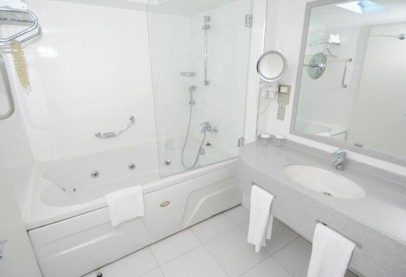 سوییت, Holiday Inn Istanbul City, An Ihg